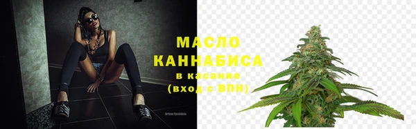 МДПВ Богородск