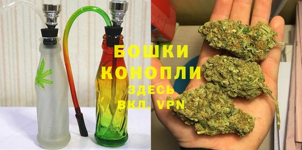 гашиш Богданович