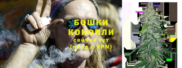 гашиш Богданович