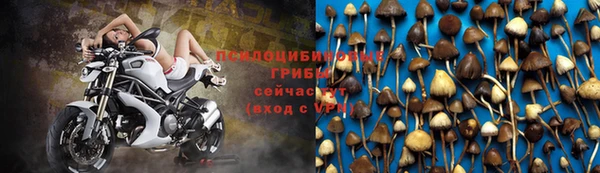 гашиш Богданович