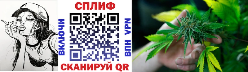Бошки марихуана планчик  Кемерово 